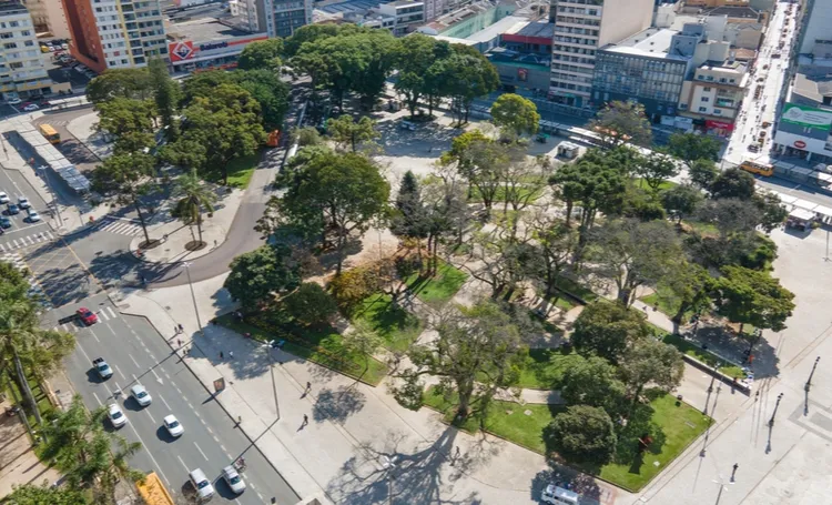 Curitiba cidade verde: árvores, parques e o plantio de mudas