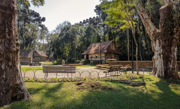 Morar no Alto da Glória: saúde, verde e o MON por perto