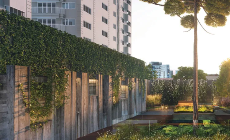 Terraço com muro verde e araucária, com prédios de Curitiba ao fundo