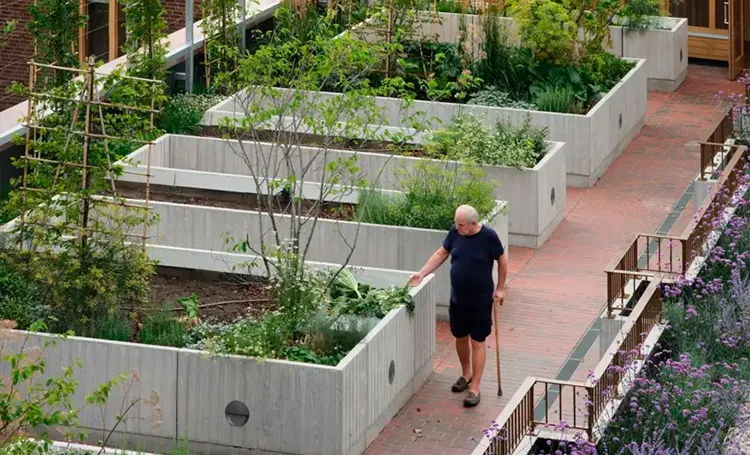 Senior living em Curitiba: a arquitetura contra a solidão