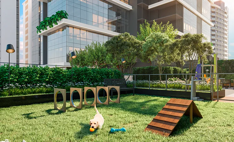 Pet place no terraço com cachorro e obstáculos de agilidade