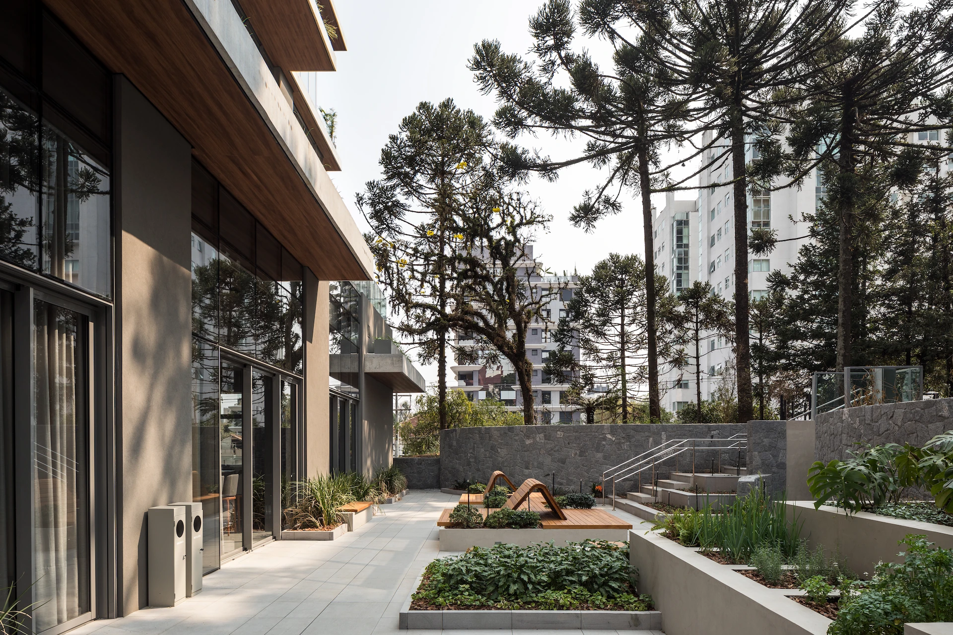 Paisagismo residencial: as 13 araucárias que desenharam o PINAH