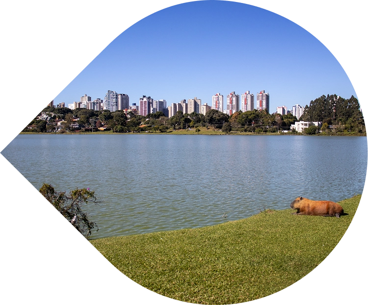 Vista do Parque Barigui em Curitiba, com lago, capivaras, vegetação e prédios ao fundo, representando a harmonia entre natureza e cidade próxima ao empreendimento BIOOS Barigui.