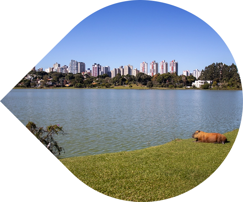 Vista do Parque Barigui em Curitiba, com lago, capivaras, vegetação e prédios ao fundo, representando a harmonia entre natureza e cidade próxima ao empreendimento BIOOS Barigui.